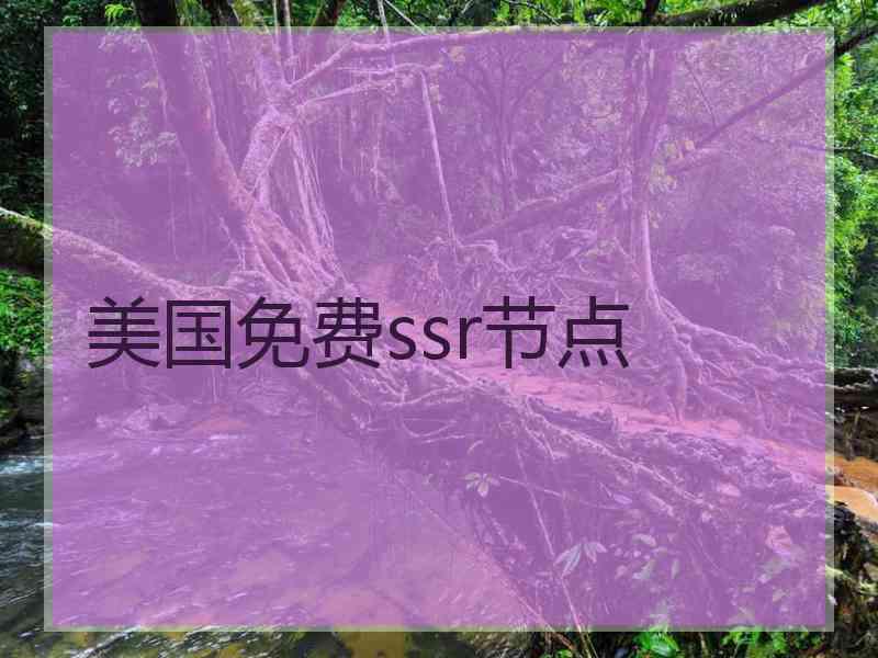 美国免费ssr节点