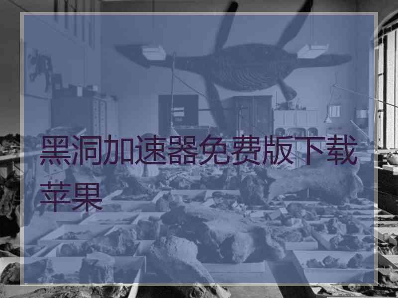 黑洞加速器免费版下载苹果