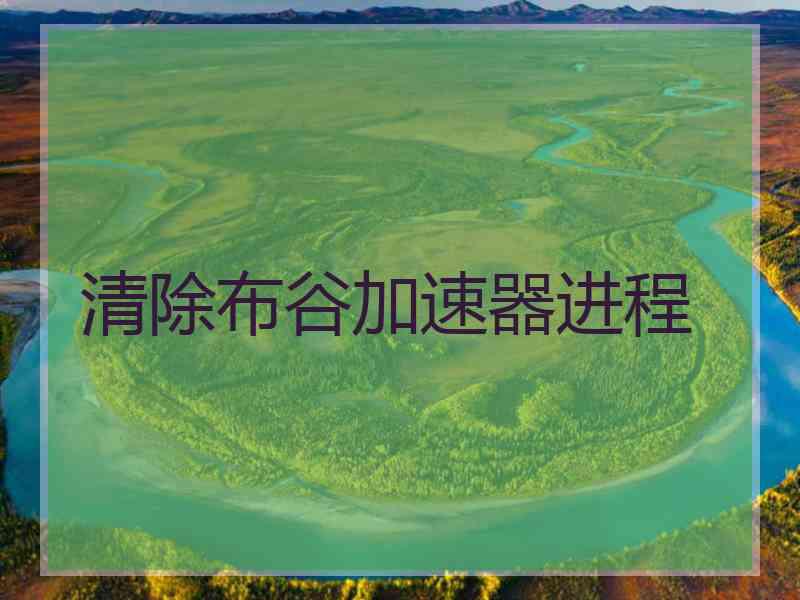 清除布谷加速器进程