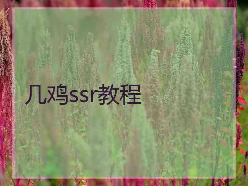 几鸡ssr教程