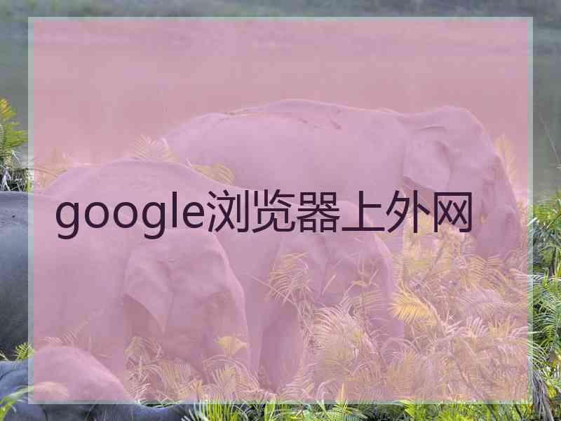 google浏览器上外网