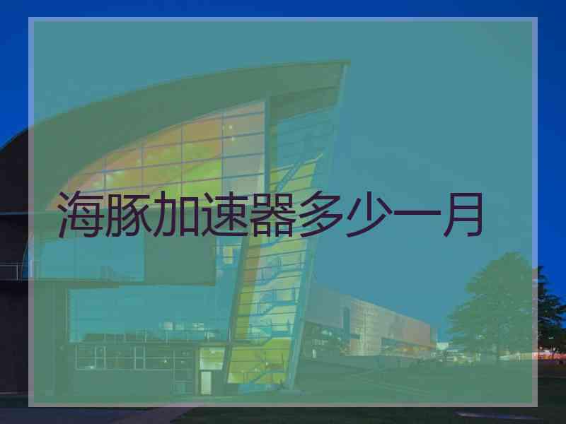 海豚加速器多少一月