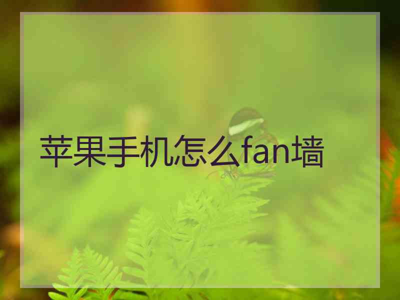 苹果手机怎么fan墙