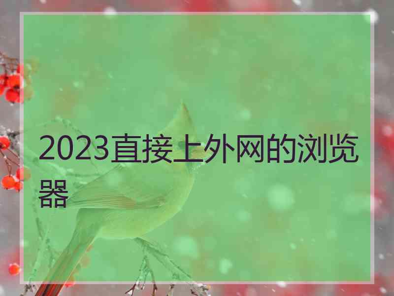 2023直接上外网的浏览器