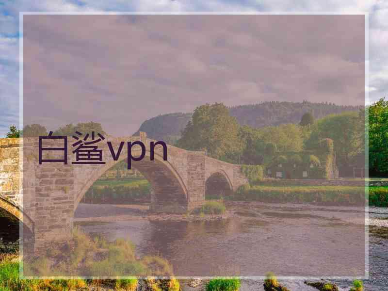白鲨vpn