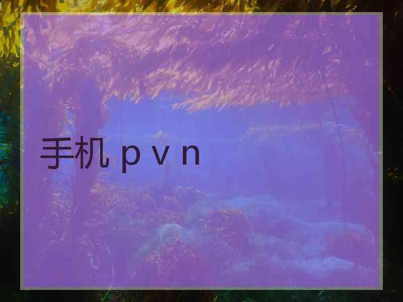 手机 p v n