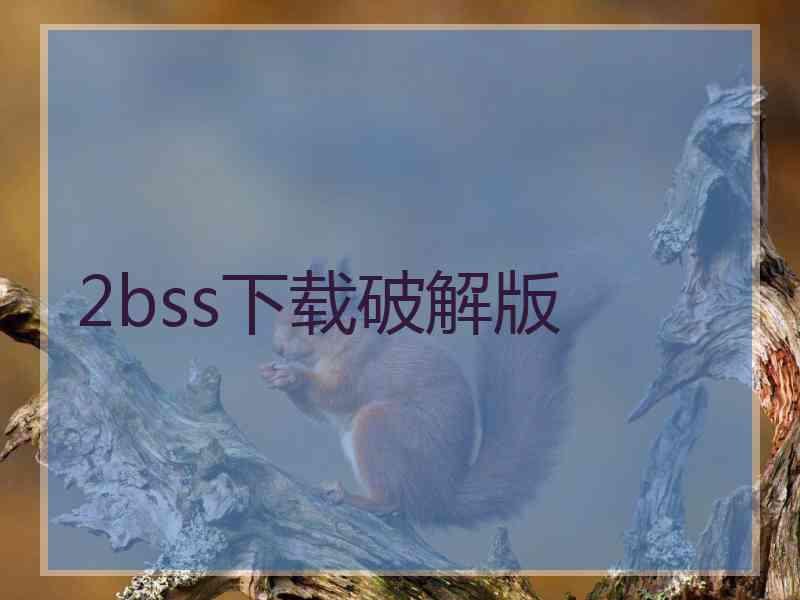 2bss下载破解版