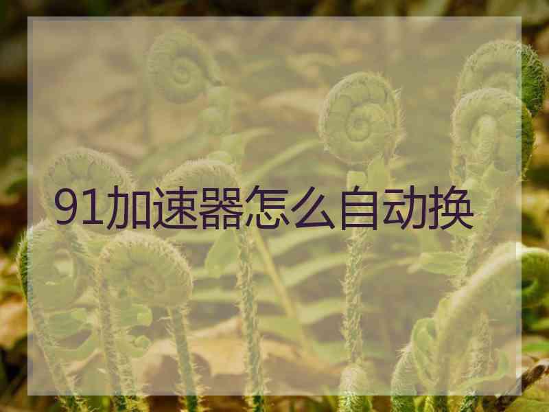 91加速器怎么自动换