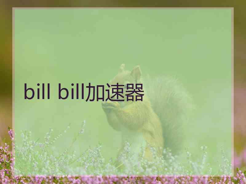 bill bill加速器