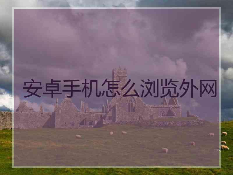 安卓手机怎么浏览外网