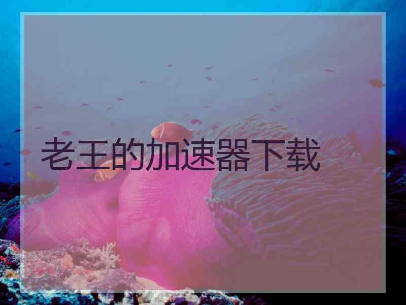 老王的加速器下载