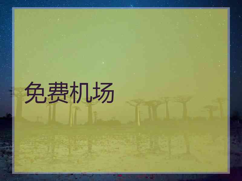 免费机场