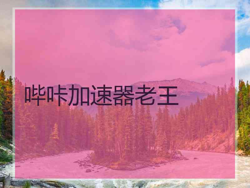 哔咔加速器老王