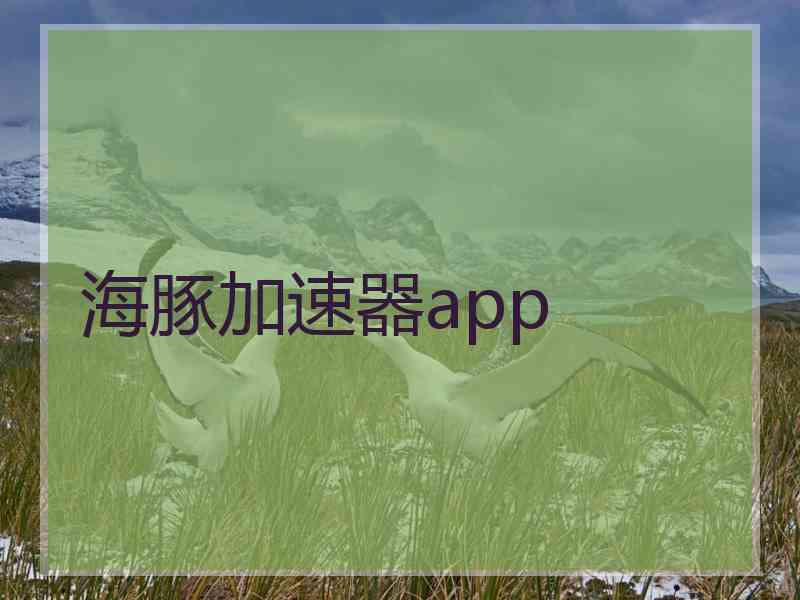 海豚加速器app