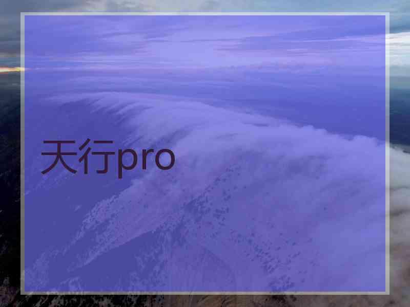 天行pro