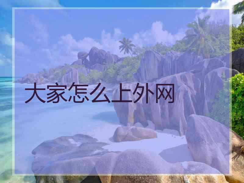 大家怎么上外网