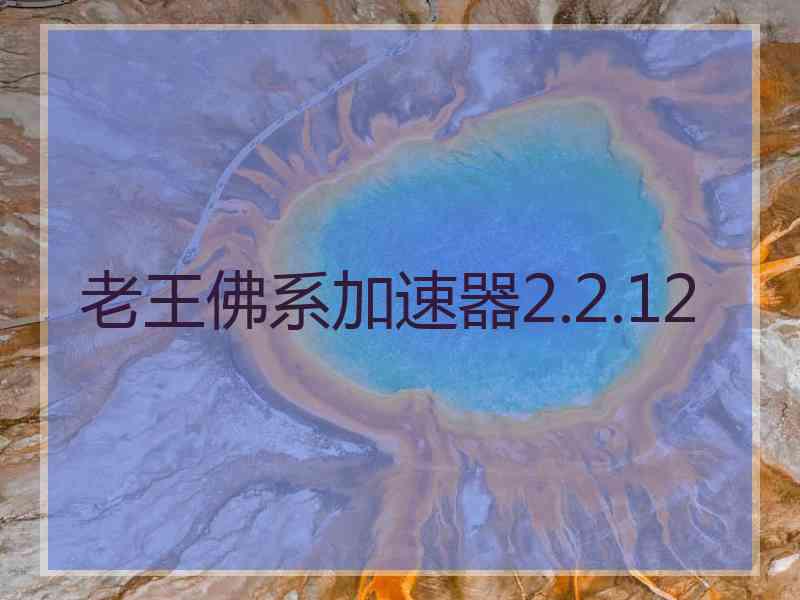 老王佛系加速器2.2.12