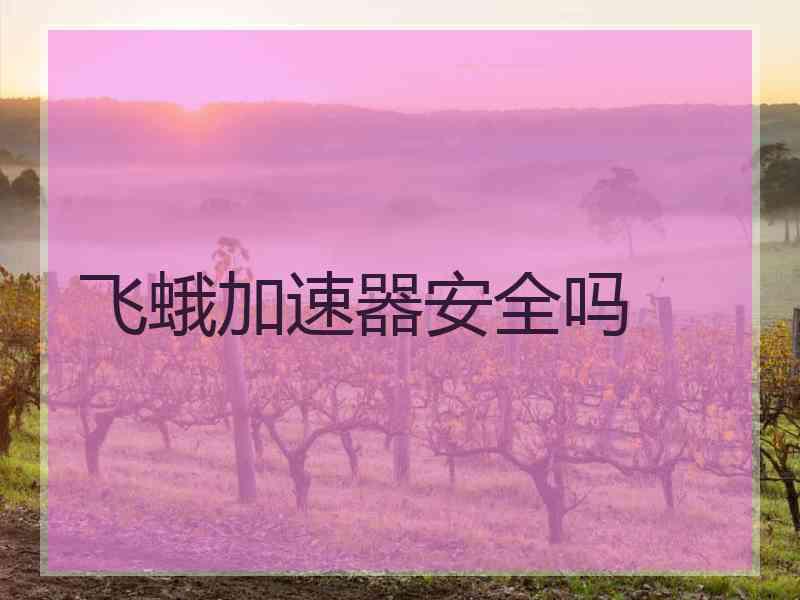 飞蛾加速器安全吗