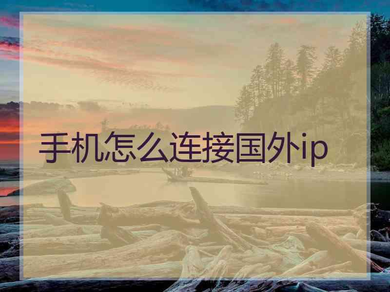手机怎么连接国外ip
