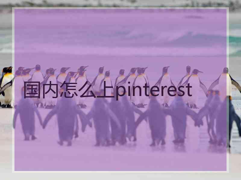 国内怎么上pinterest