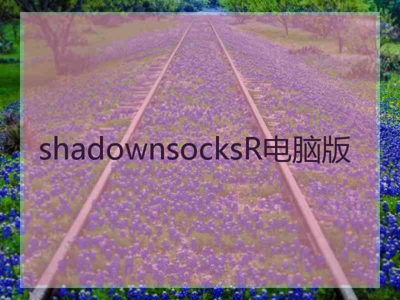 shadownsocksR电脑版