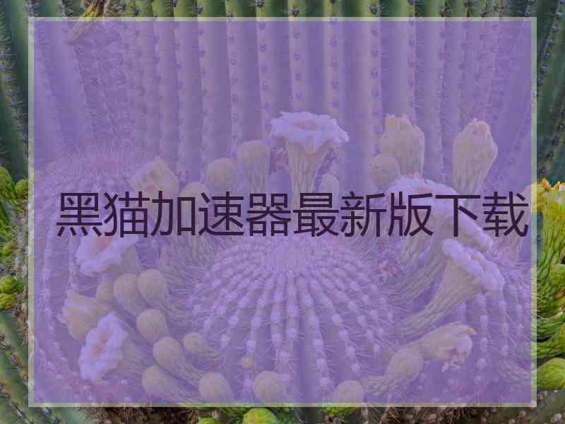 黑猫加速器最新版下载