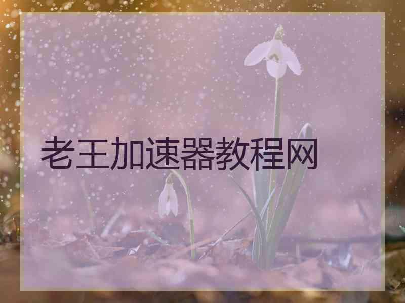 老王加速器教程网