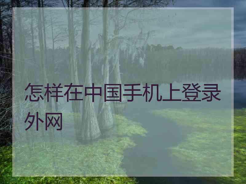 怎样在中国手机上登录外网