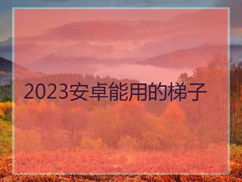 2023安卓能用的梯子