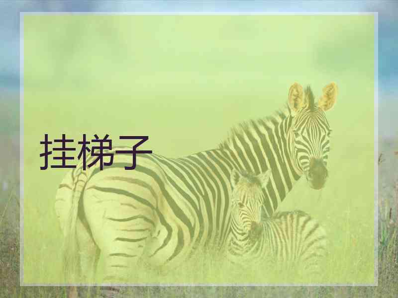 挂梯子