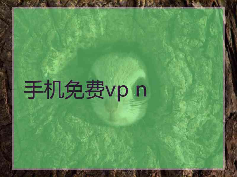 手机免费vp n