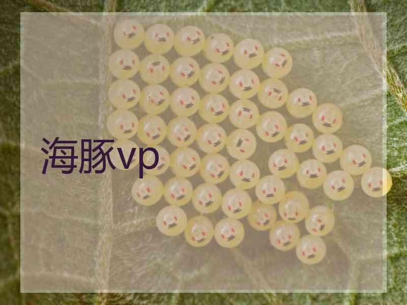 海豚vp