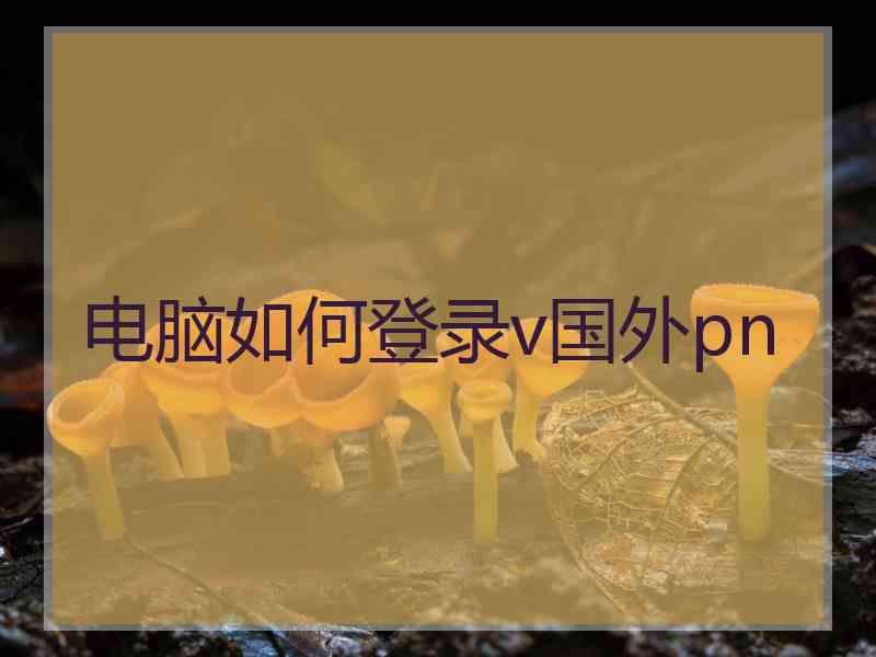 电脑如何登录v国外pn