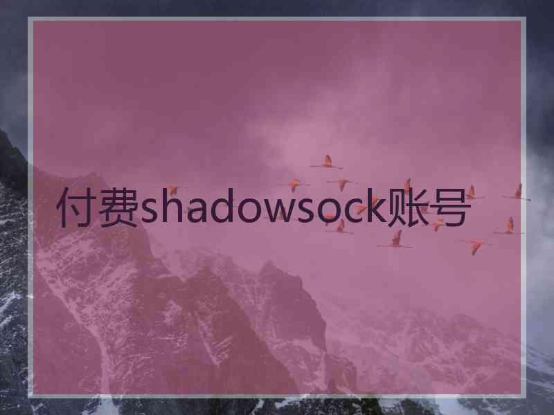 付费shadowsock账号