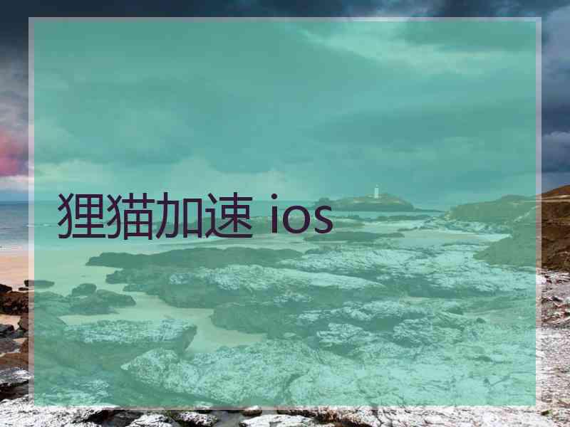 狸猫加速 ios