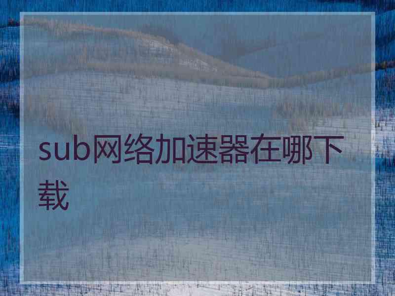 sub网络加速器在哪下载