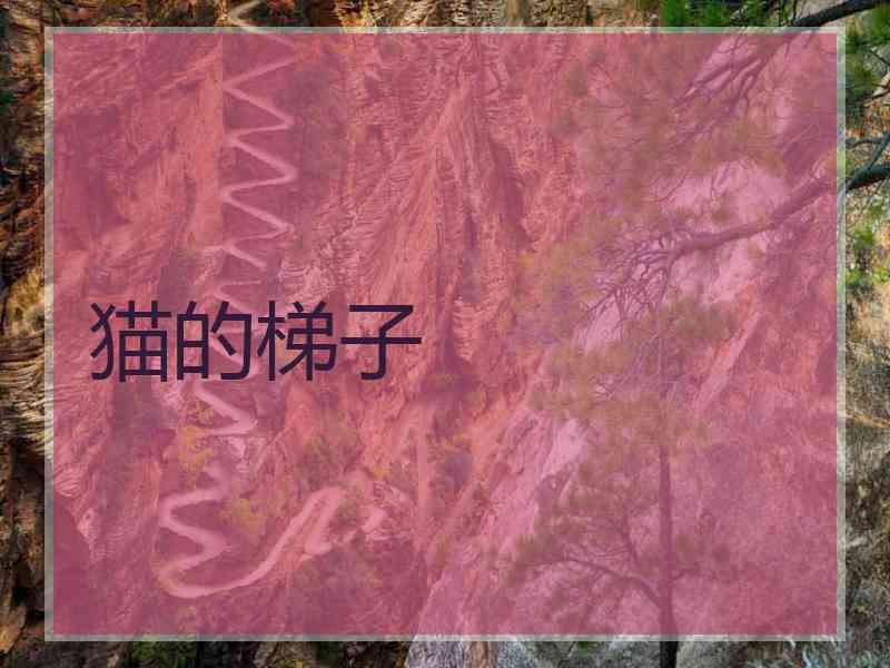 猫的梯子