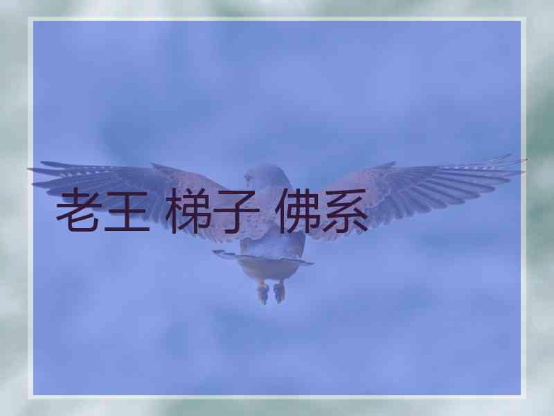 老王 梯子 佛系