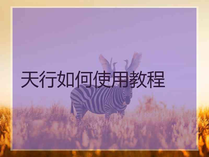 天行如何使用教程
