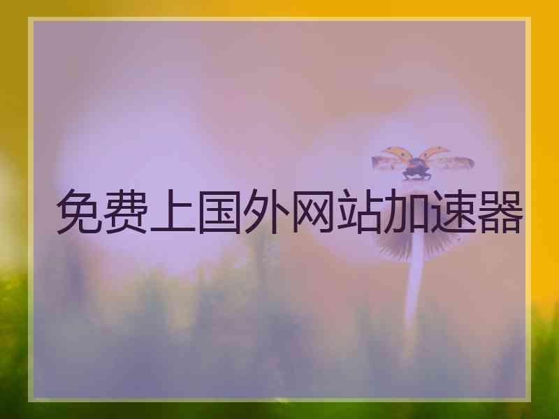 免费上国外网站加速器