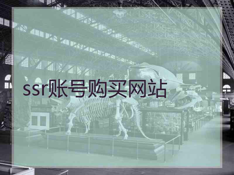 ssr账号购买网站