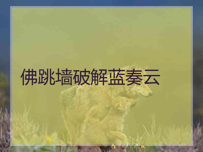 佛跳墙破解蓝奏云