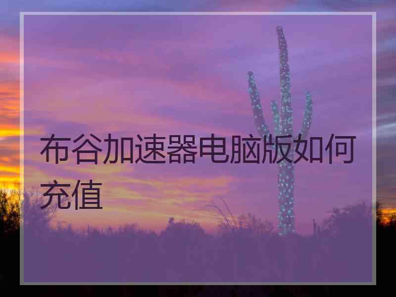 布谷加速器电脑版如何充值