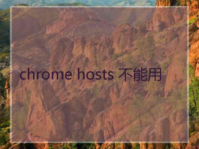 chrome hosts 不能用