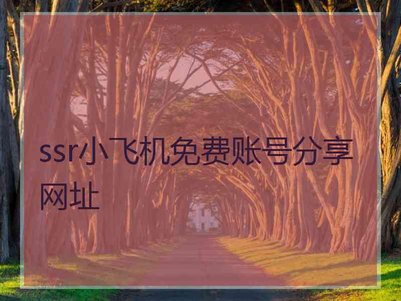 ssr小飞机免费账号分享网址