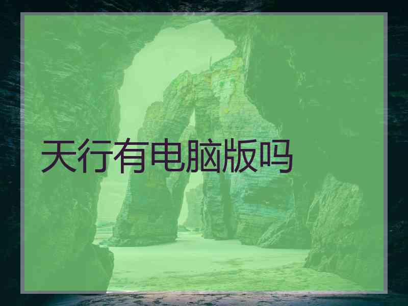 天行有电脑版吗