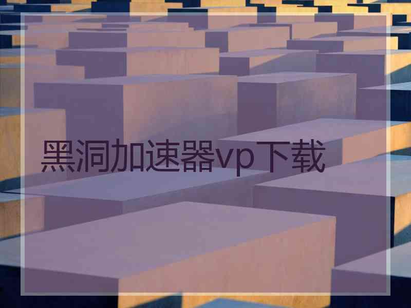 黑洞加速器vp下载