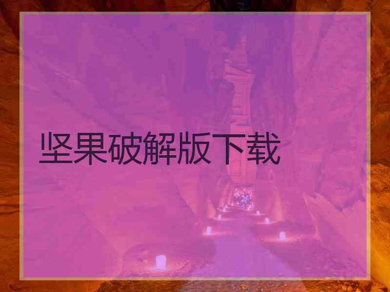 坚果破解版下载
