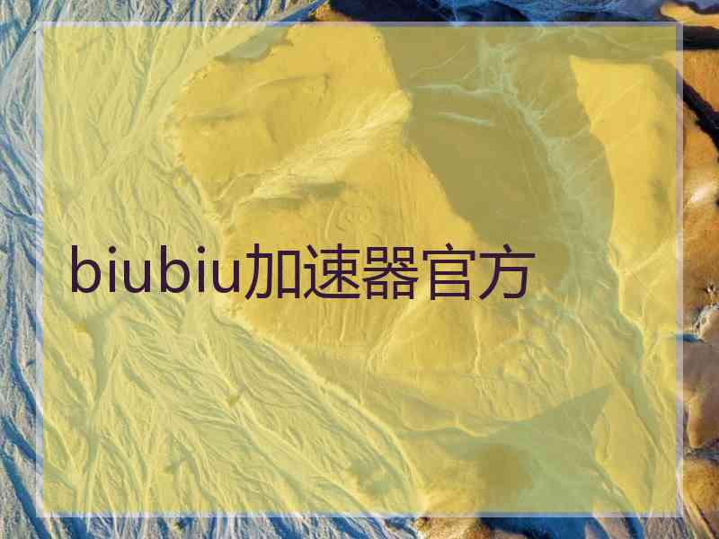 biubiu加速器官方