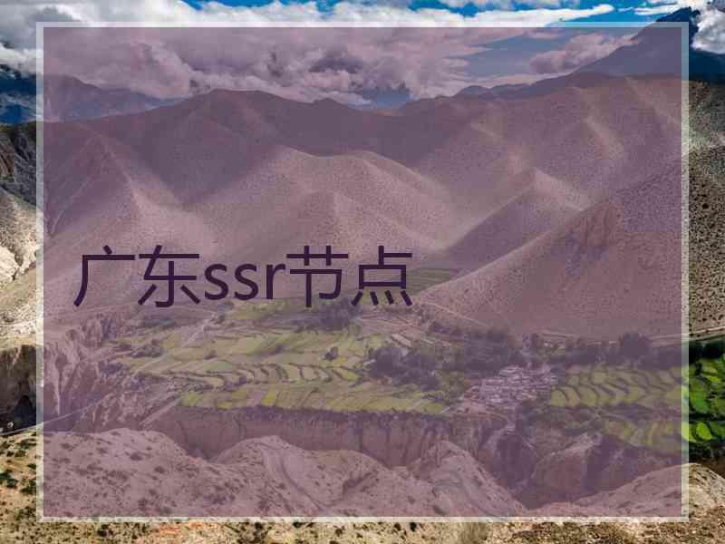 广东ssr节点
